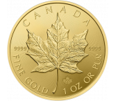 Maple Leaf 1 OZ