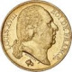 20 Francs Louis XVIII 1817 A