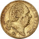 20 Francs Louis XVIII 1819 A